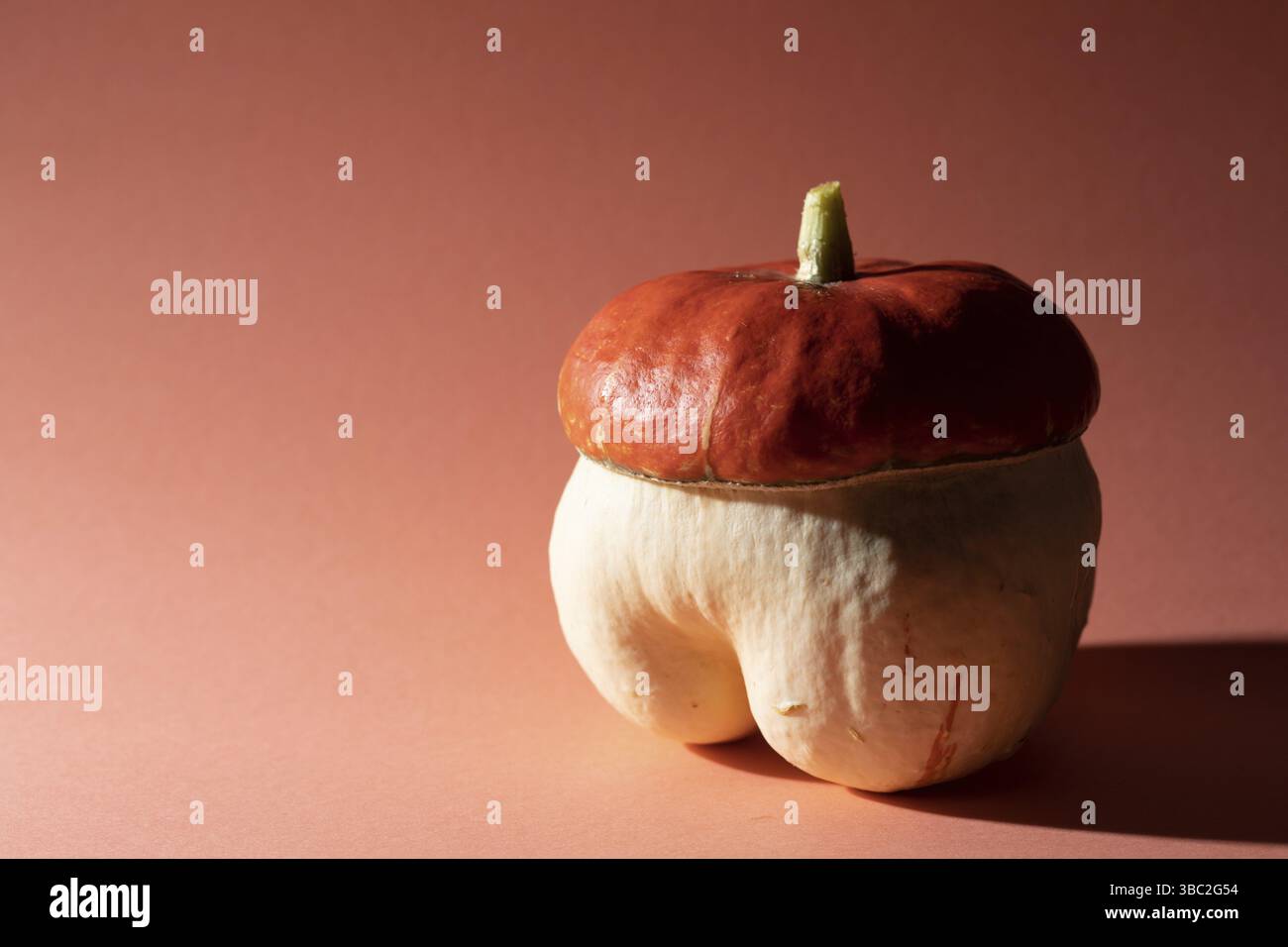 Una zucca decorativa con forma non convetionale su sfondo arancione. Verdure naturali con forma simile a quella di un mashroom. Copia spazio Foto Stock