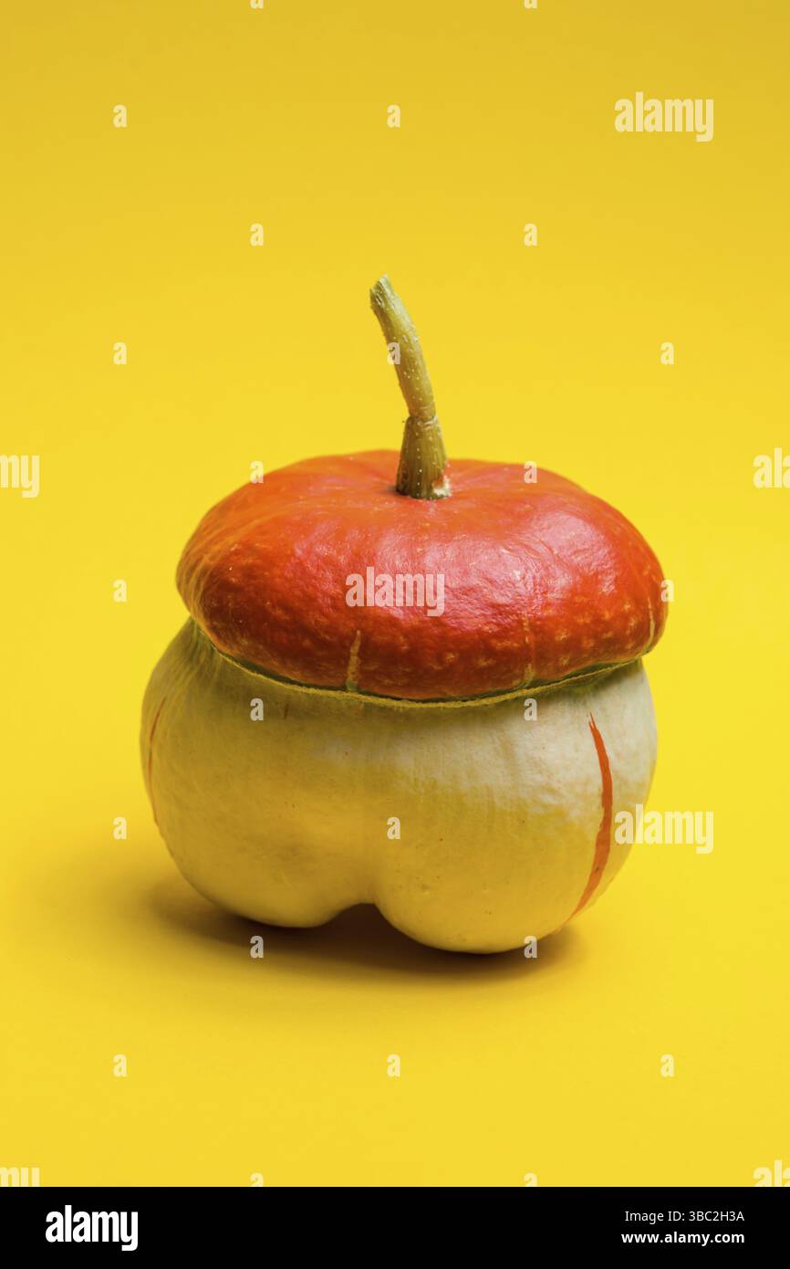 Piccola zucca carina a forma di fungo con cappello arancione sulla parte superiore. La natura può creare verdure dalla forma divertente. Studio girato su sfondo giallo Foto Stock