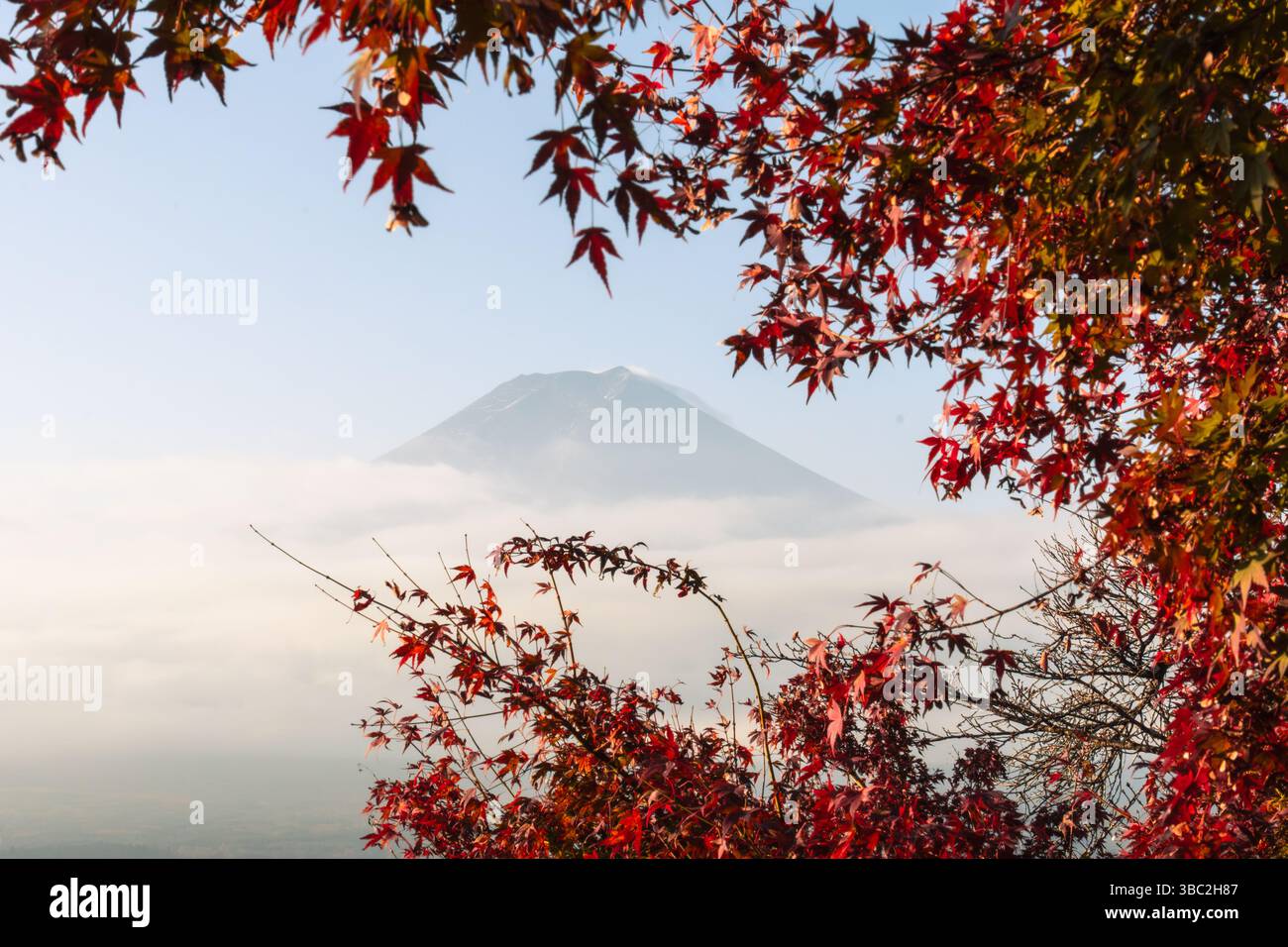 Monte Fuji senza neve e foglie rosse nella vista mattutina dalla pagoda Chureito Foto Stock