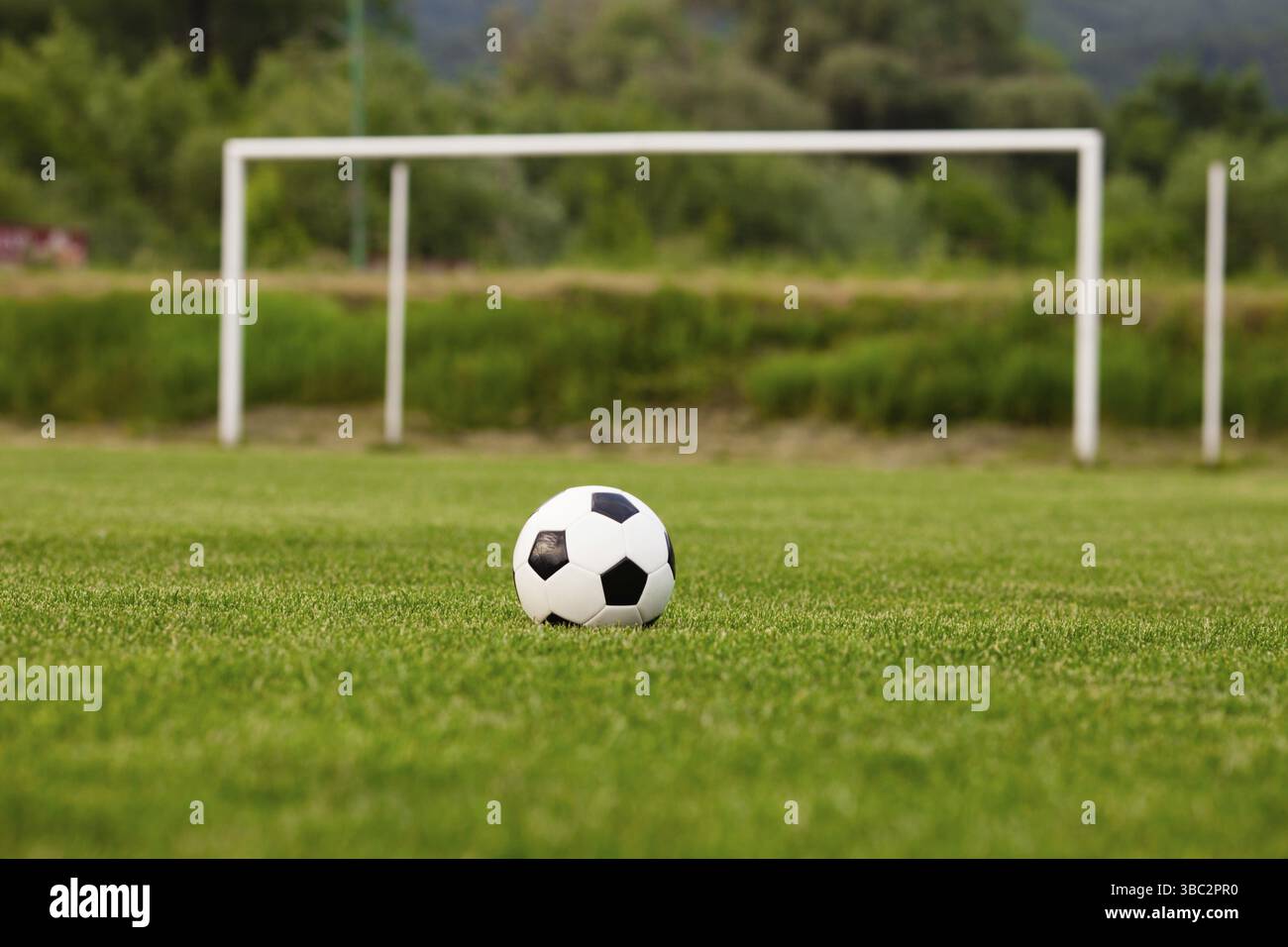 Pallone da calcio su un prato verde di close-up. Concetto - Calcio passione Foto Stock