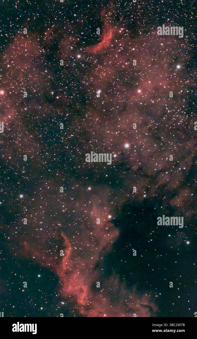 NGC 7000, la Nebulosa del Nord America, una nebulosa di emissione nella costellazione di Cygnus e a 1700 anni luce dalla Terra. La nebulosa si illumina di rosso a causa del gas idrogeno presente nella nuvola. Foto Stock