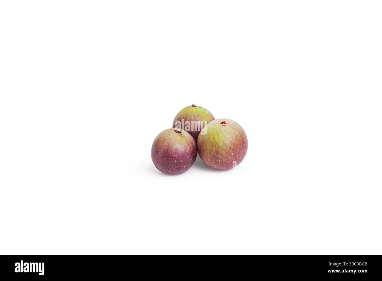 Tre mele stellate fresche con sfumature viola e verde sono isolate su sfondo bianco. Le loro pelli lisce e lucide riflettono la luce, Foto Stock Tre mele stellate fresche con sfumature viola e verde sono isolate su sfondo bianco. Le loro pelli lisce e lucide riflettono la luce, Foto Stock