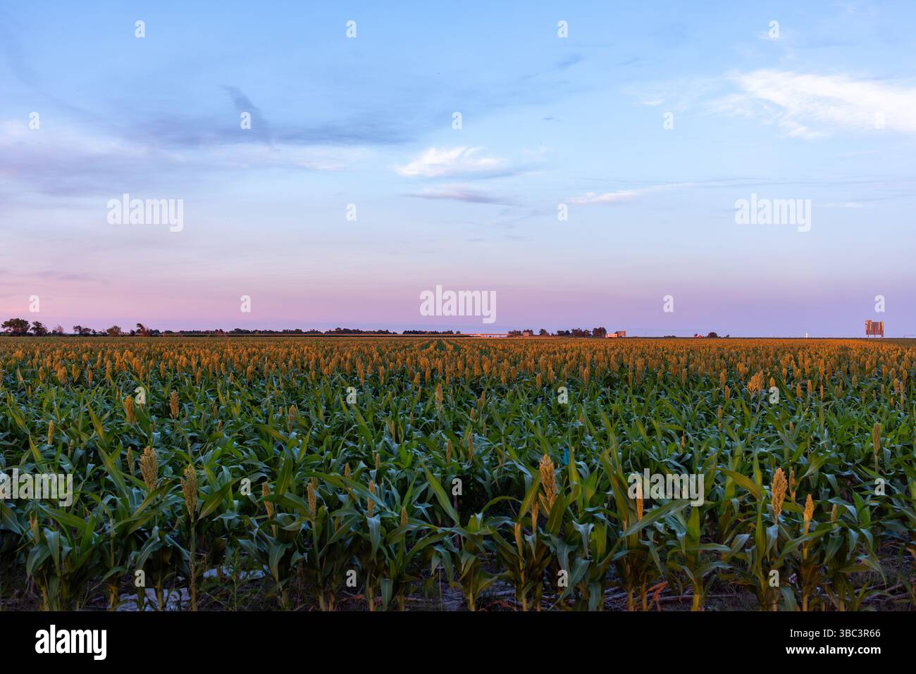 Goodland, Kansas Foto Stock