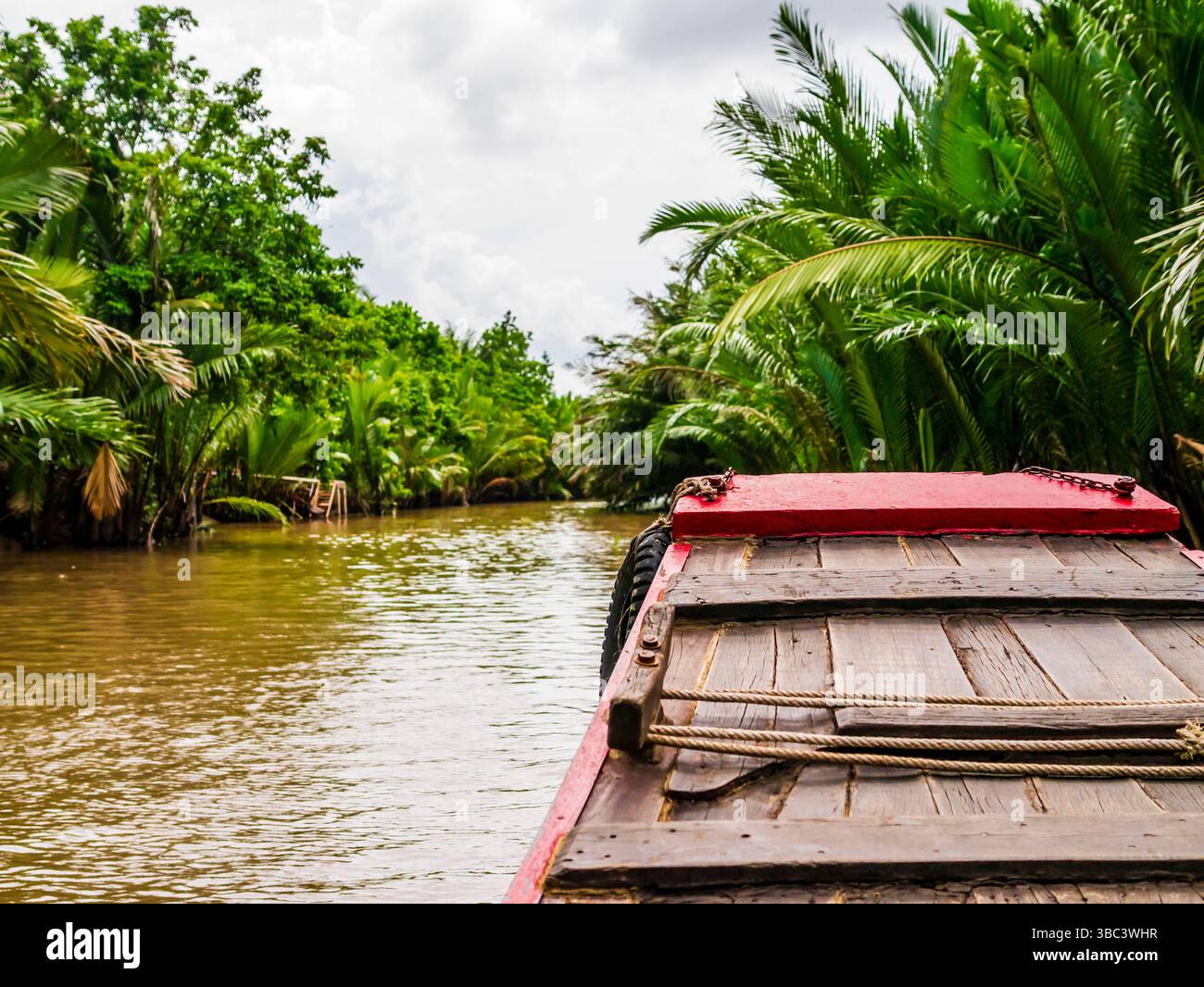 Splendido tour in barca nel delta del fiume Mekong attraverso piantagioni di palme da cocco, regione di Ben tre, Vietnam meridionale Foto Stock