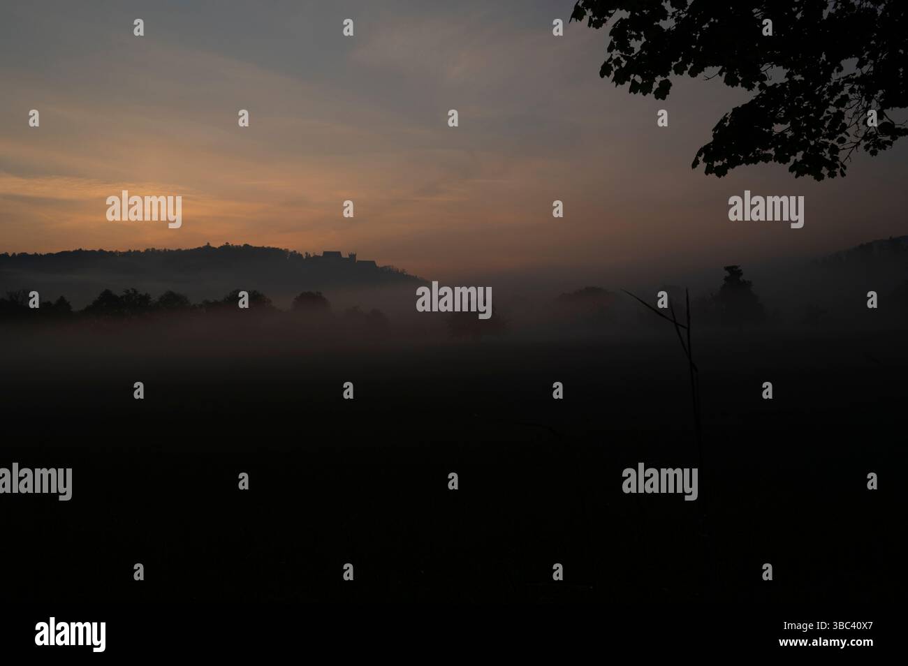 Nebbia al sorgere del sole con il castello di Weitenburg sullo sfondo nel paesaggio della valle del Neckar vicino a Rottenburg am Neckar in Germania. Foto Stock