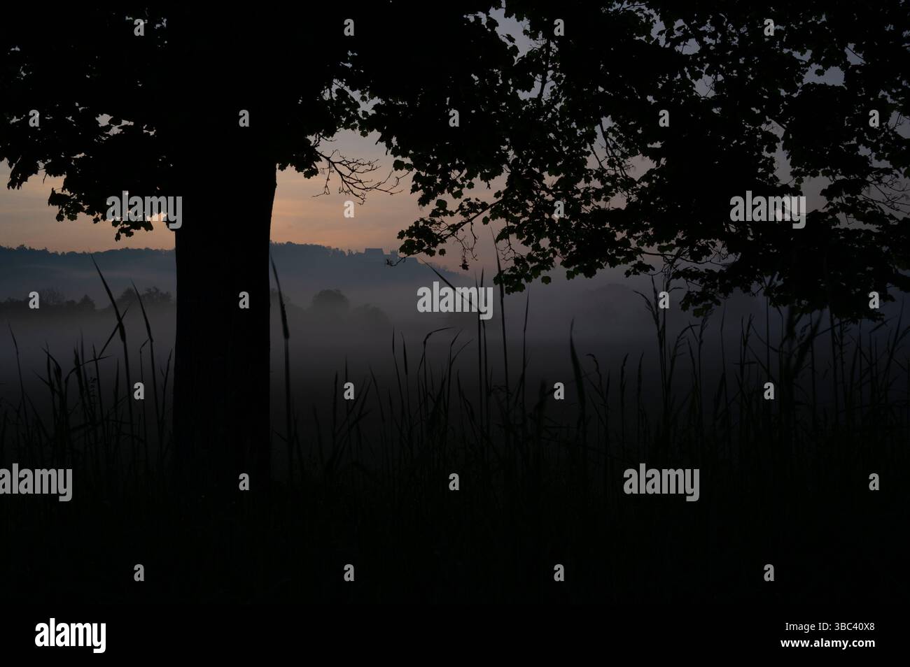 Nebbia al sorgere del sole con il castello di Weitenburg sullo sfondo nel paesaggio della valle del Neckar vicino a Rottenburg am Neckar in Germania. Foto Stock