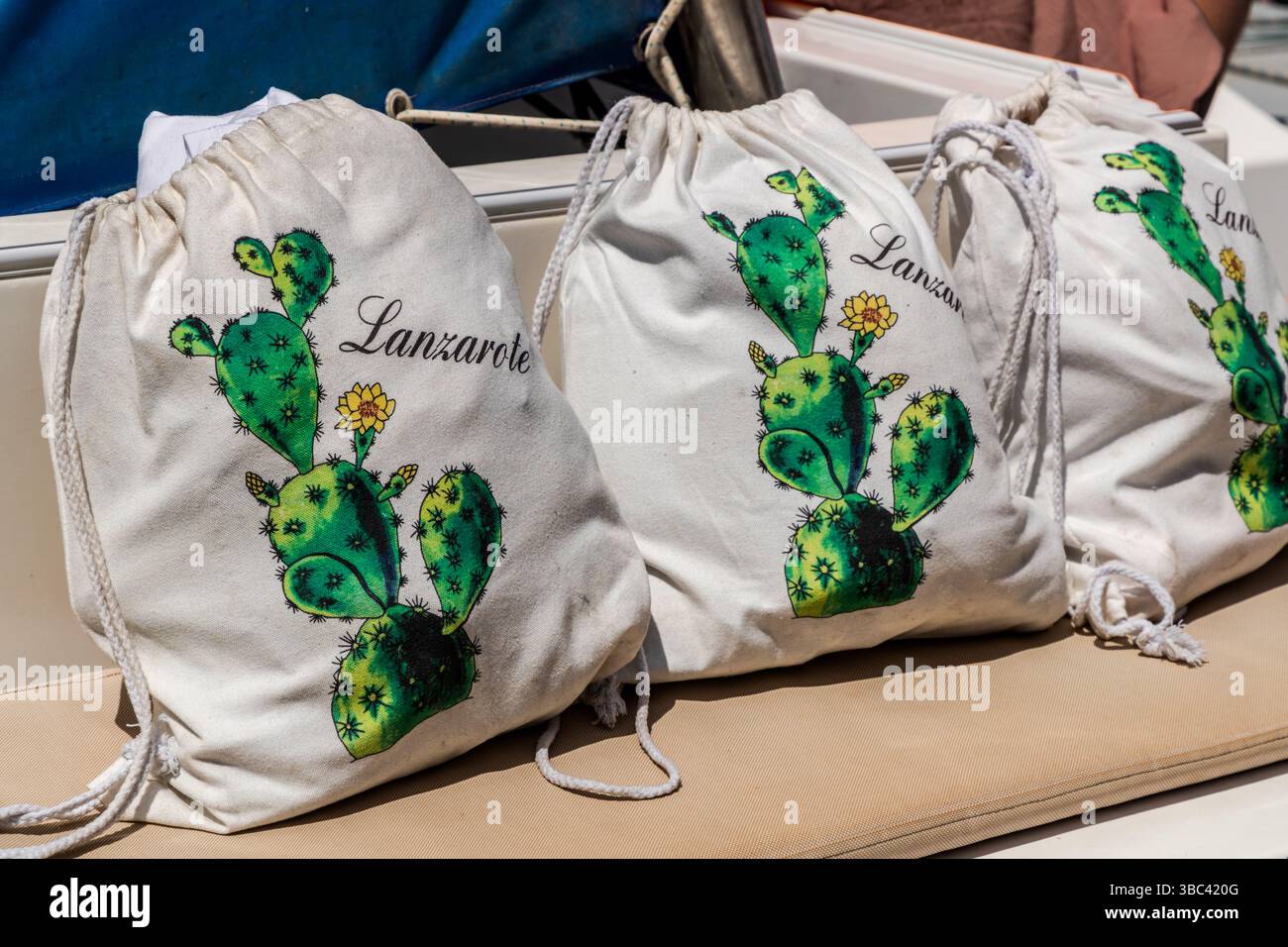 Borse con un motivo Lanzarote su una barca al largo di Lanzarote. L'insetto a scala cocciniana (Dactylopius coccus) è il tipico e più importante insetto di cactus su Lanzarote. Vive su cactus di fico d'India e produce il colorante rosso carmine, che ha plasmato l'economia dell'isola nel XIX secolo ed è ancora oggi utilizzato nei prodotti locali. San Marcial de Rubicón, Canarias, Spagna Foto Stock