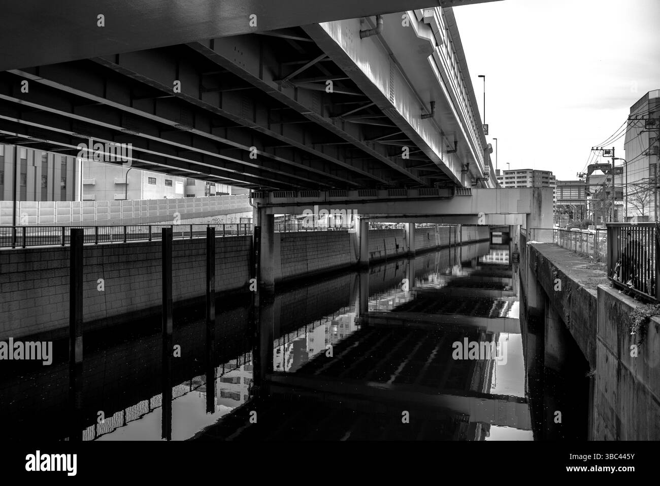 Vista in bianco e nero sotto un cavalcavia di Tokyo con riflessi d'acqua, che enfatizzano la simmetria industriale Foto Stock