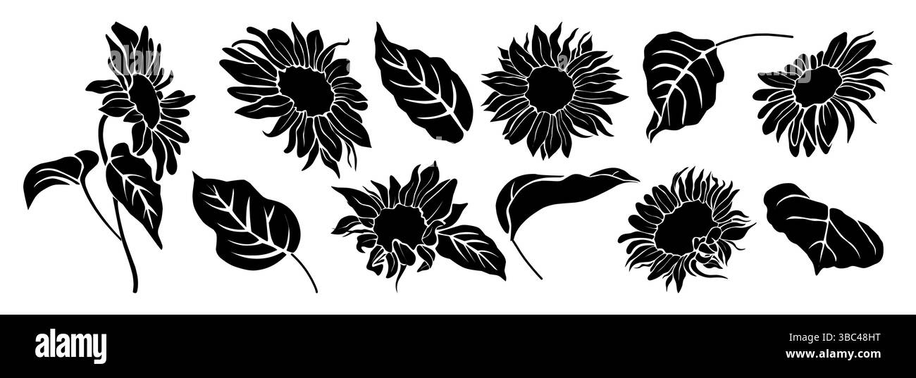 Set di silhouette nere girasole isolate vettoriali Illustrazione Vettoriale