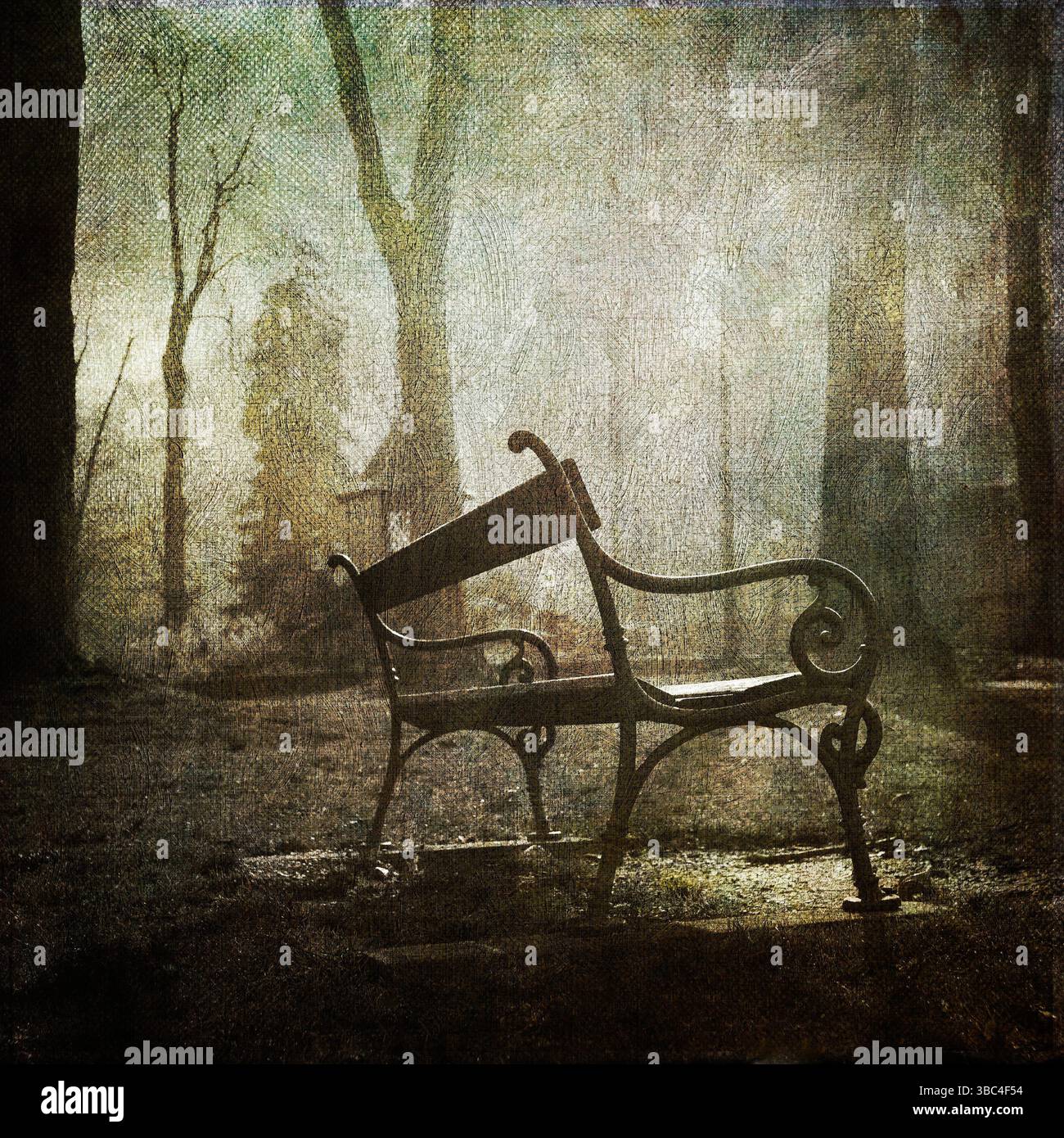 Una panca solitaria riposa tranquillamente in un tranquillo giardino in Francia, circondato da alberi avvolti dalla nebbia mattutina. La luce soffusa crea un'atmosfera tranquilla Foto Stock