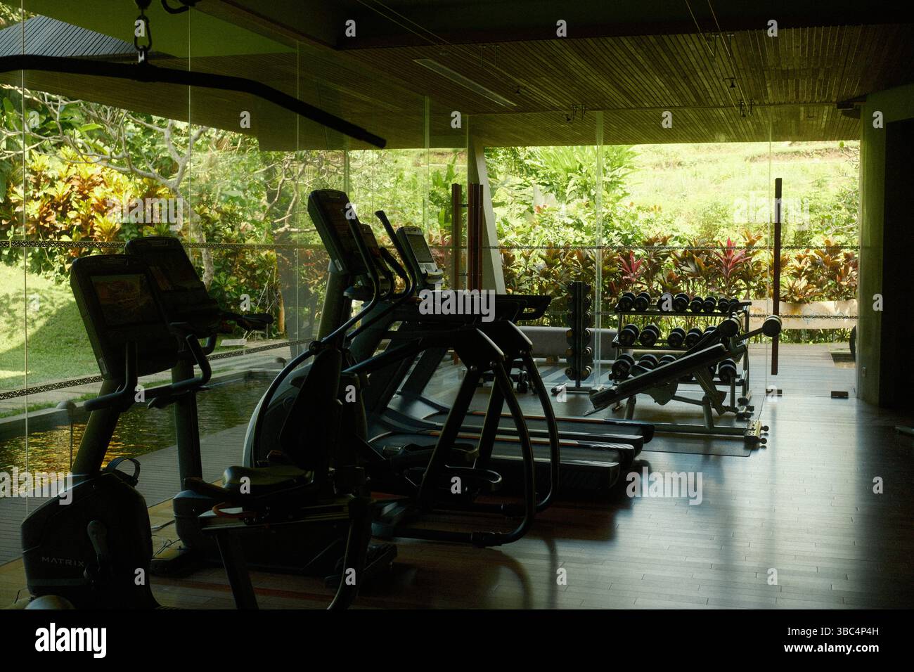 Una tranquilla palestra interna con macchine cardio e un'area sollevamento pesi con vista sulla natura Foto Stock Una tranquilla palestra interna con macchine cardio e un'area sollevamento pesi con vista sulla natura Foto Stock
