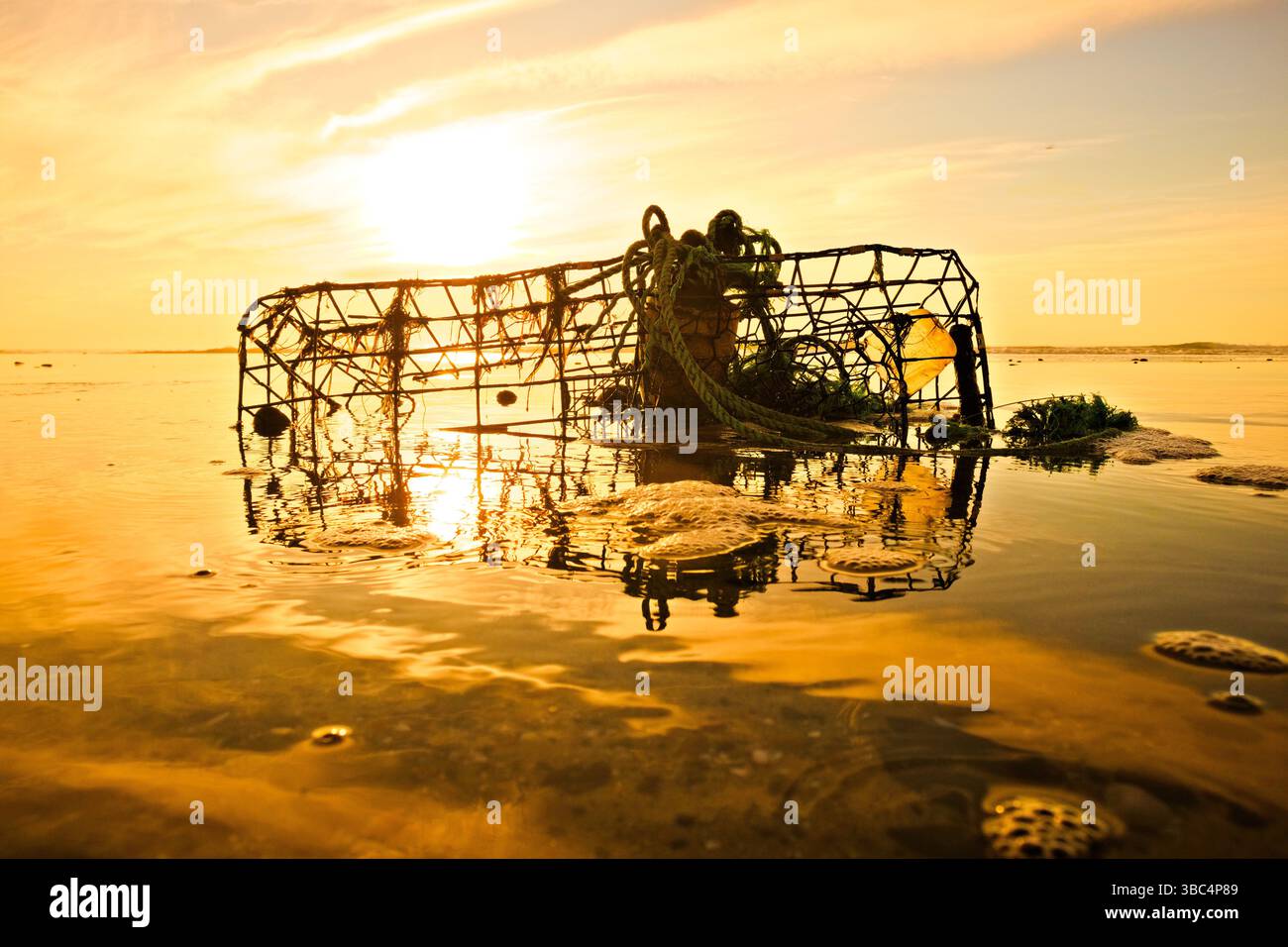 Gabbie di pesca lavate a terra Foto Stock