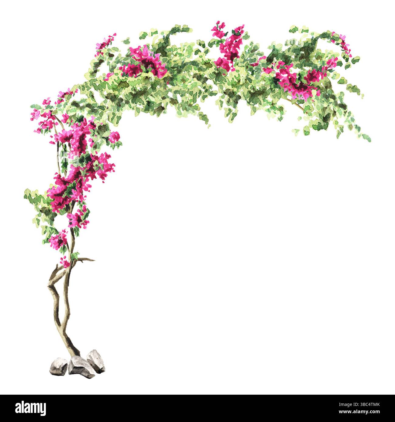 Arco con piante e fiori. Illustrazione ad acquerello disegnata a mano con spazio di copia, isolata su sfondo bianco Foto Stock