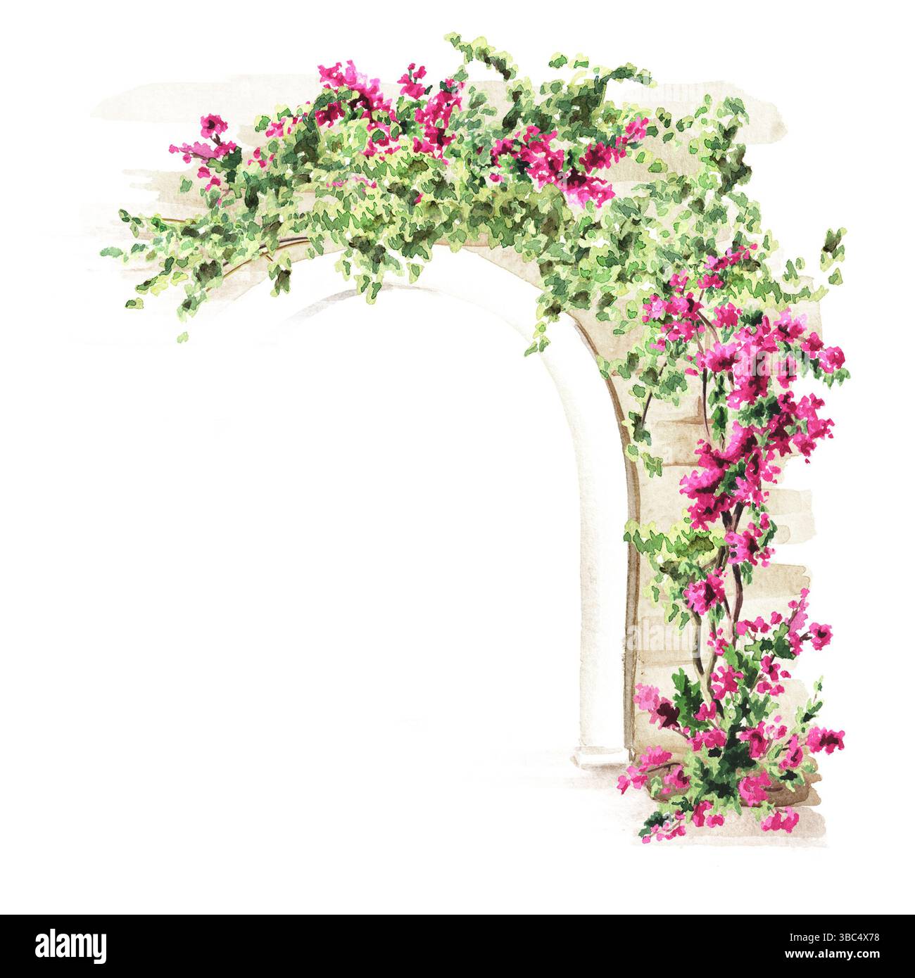 Arco architettonico decorato con piante e fiori. Illustrazione ad acquerello disegnata a mano con spazio di copia, isolata su sfondo bianco Foto Stock