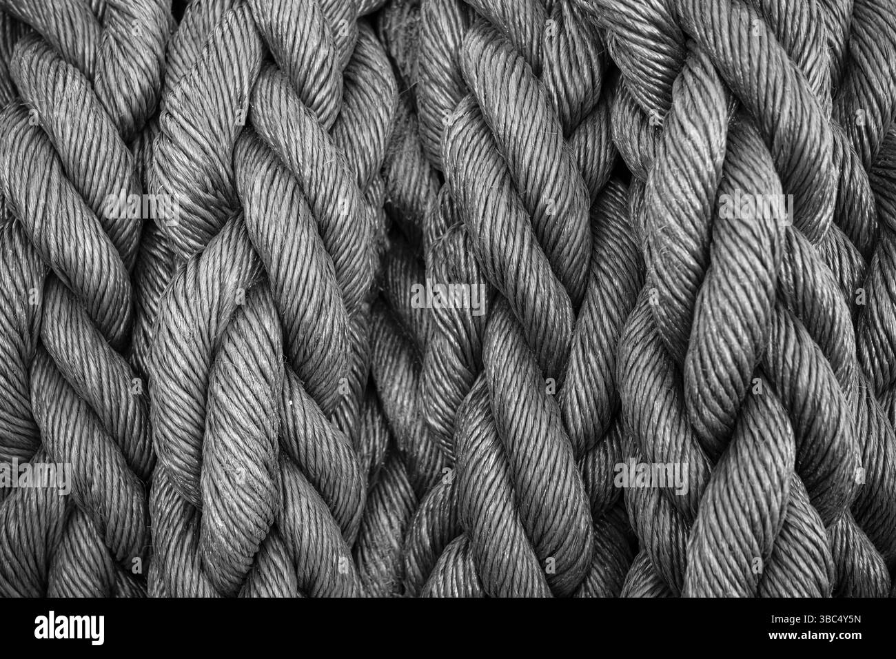 Un primo piano di corde intrecciate mette in risalto la meticolosa maestria artigianale della loro creazione. Queste corde, strettamente intrecciate insieme, esibiscono Foto Stock