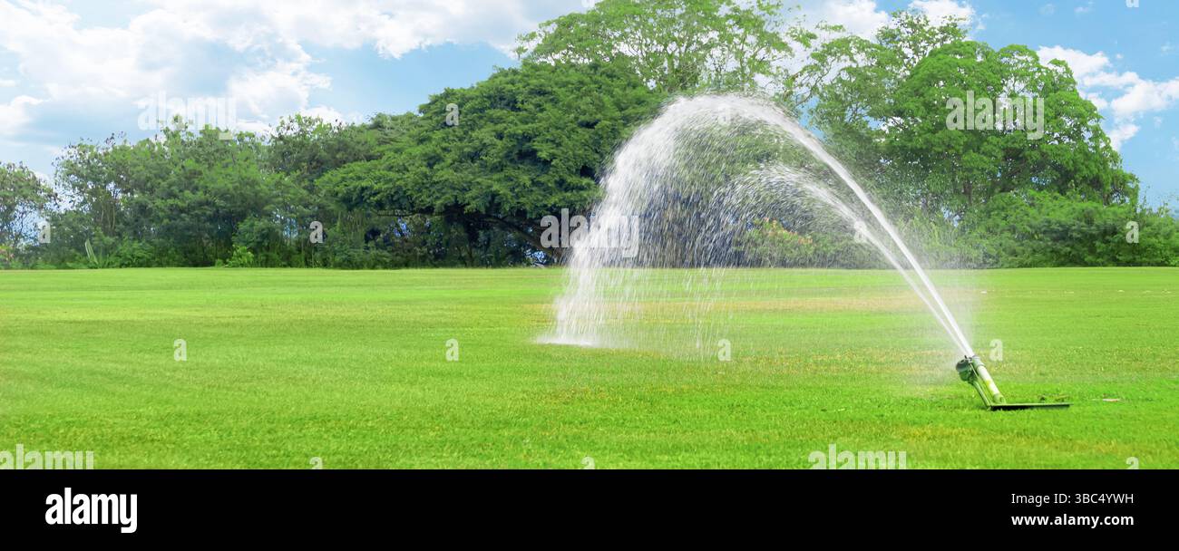 Sistema di irrigazione del prato con buona pressione dell'acqua su un campo da golf verde e fresco sullo sfondo di alberi sotto il sole luminoso durante il giorno. Una lu Foto Stock