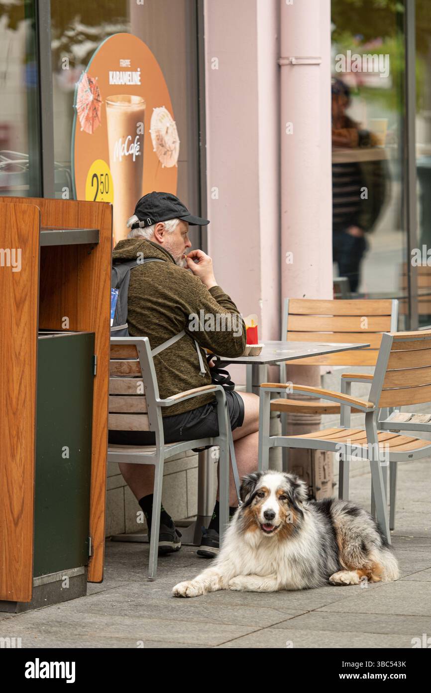 Signore anziano che mangia cibo spazzatura a un tavolo esterno di un fast food in compagnia del suo cane Foto Stock