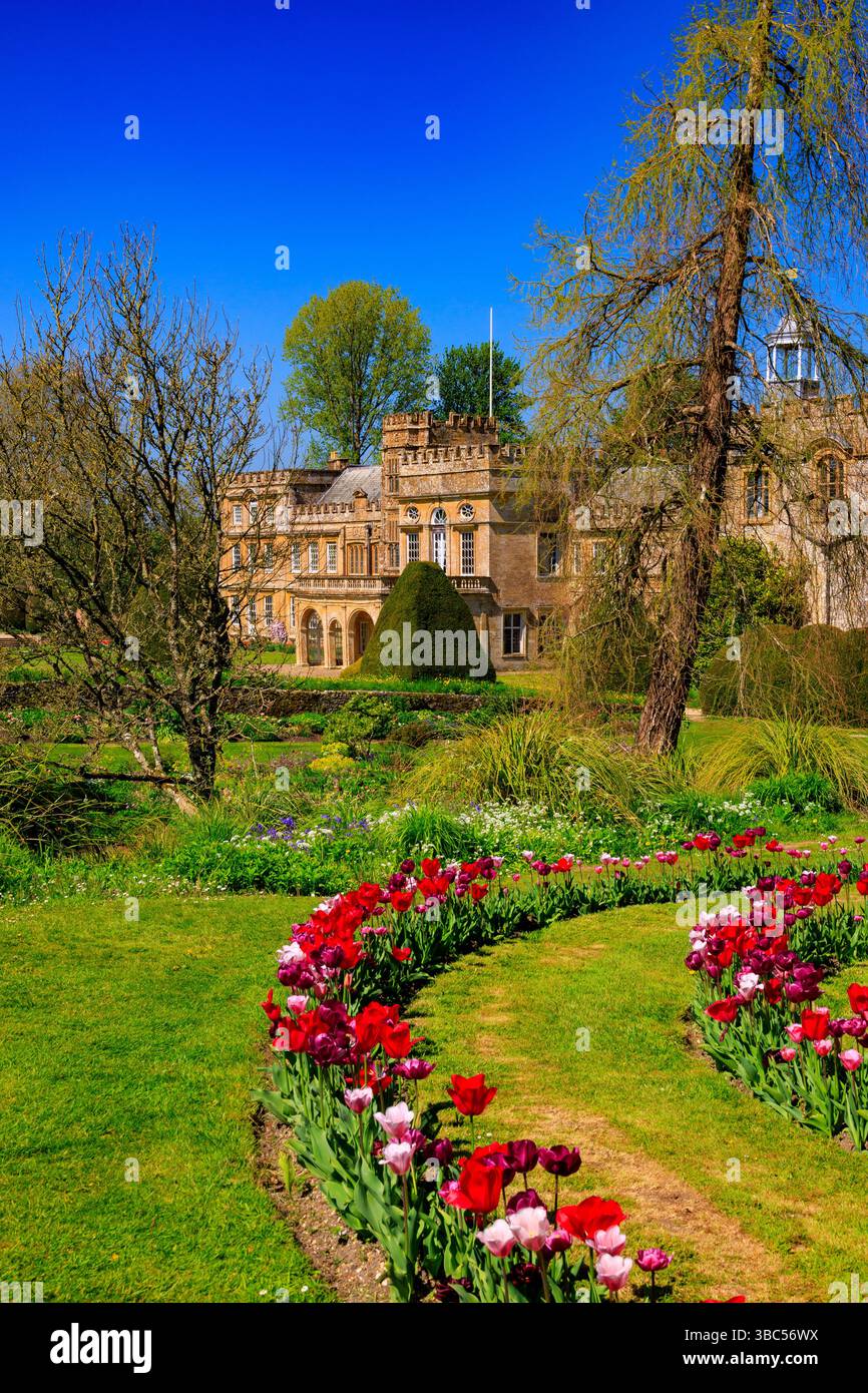 L'impressionante fronte sud e i tulipani colorati nello Spiral Garden di Forde Abbey, Dorset, Inghilterra, Regno Unito Foto Stock