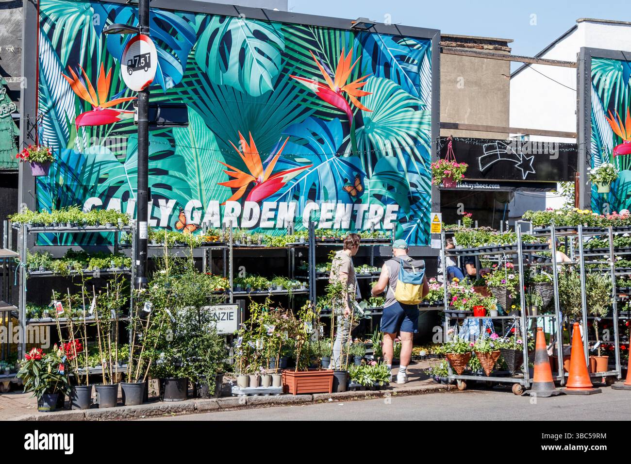 Cally Garden Centre all'angolo tra Caledonian Road e McKenzie Road a Islington, North London, Regno Unito Foto Stock