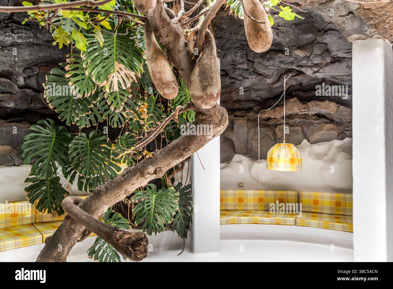 Grotta di lava interna della Fondazione César Manrique di Lanzarote con piante e posti a sedere gialli. Calle Jorge Luis Borges, Teguise, Canarias, Spagna Foto Stock