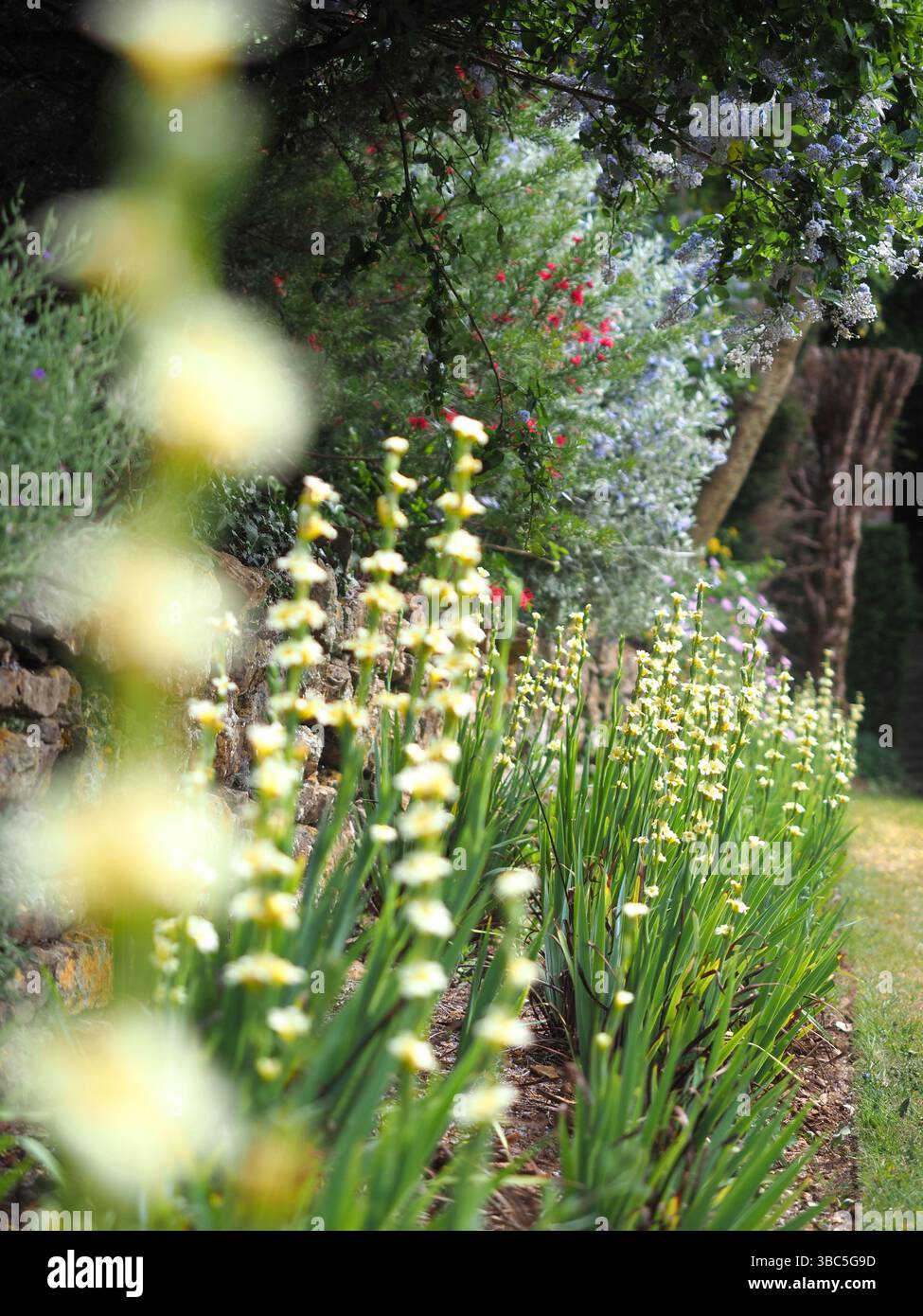 OLYMPUS FOTOCAMERA DIGITALE Foto Stock