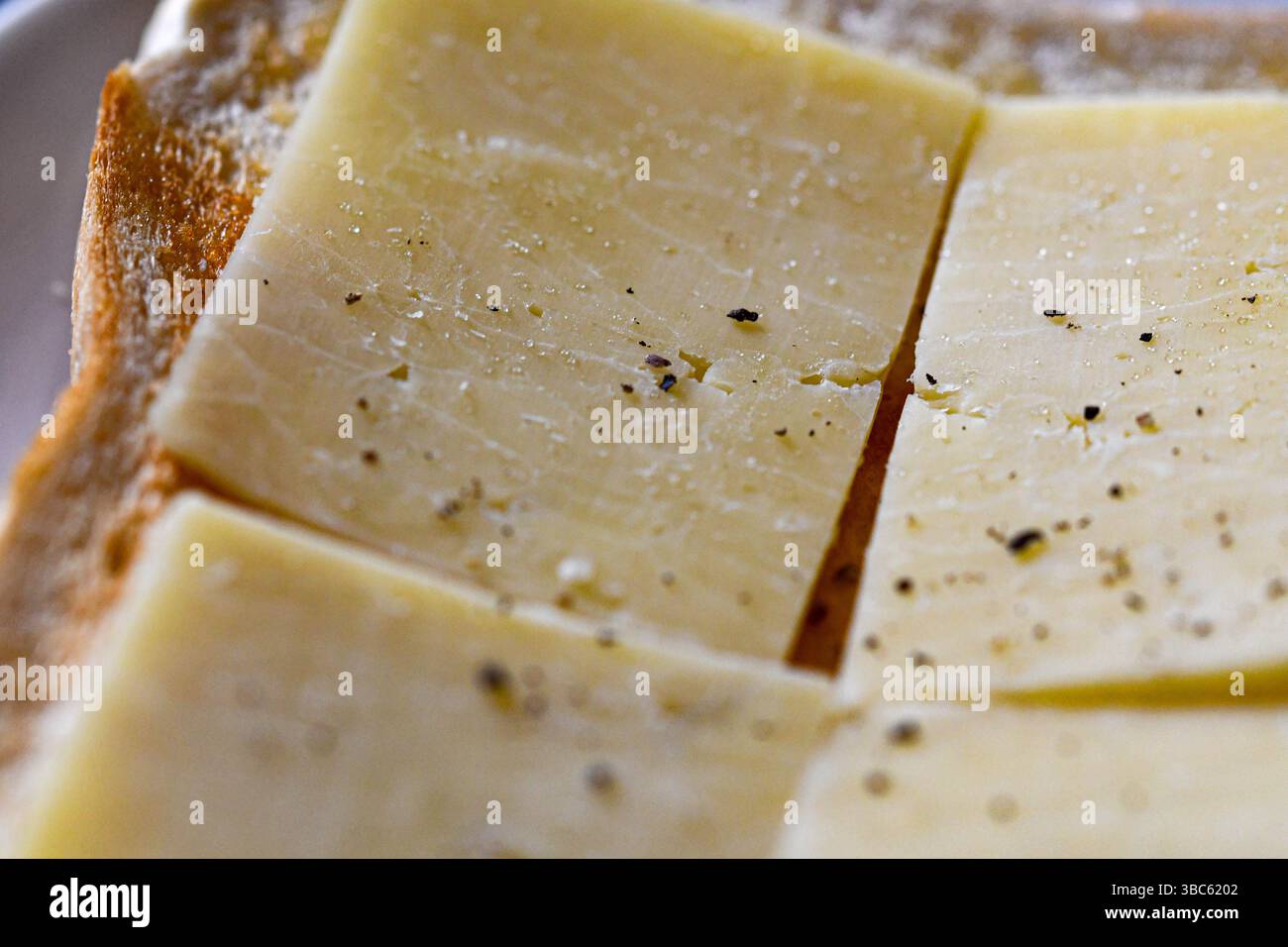 Formaggio sul pane tostato con sale e pepe non fuso Foto Stock