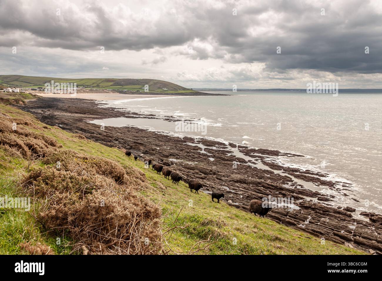 Vista di Croyde Bay da Baggy Point Devon, Inghilterra, Regno Unito Foto Stock