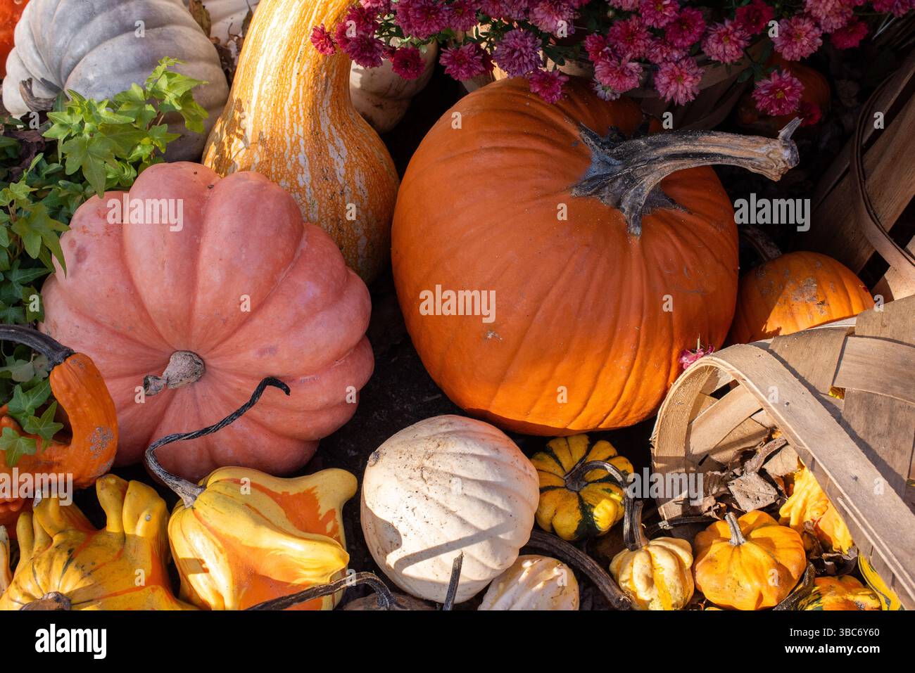 Scene autunnali ai Gibbs Gardens, Ball Ground, Georgia Foto Stock