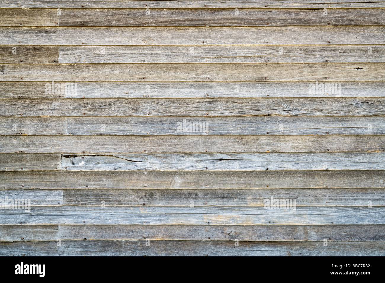 Sfondo e struttura di un vecchio rivestimento in legno intemprato di una fattoria abbandonata Foto Stock