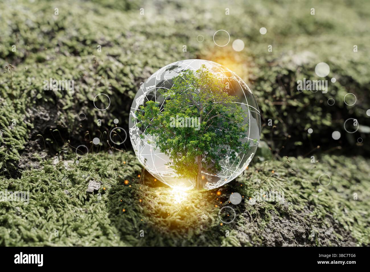 Un albero verde racchiuso all'interno di un globo trasparente su un terreno muscoloso, che simboleggia la protezione ambientale, l'equilibrio ecologico, la cattura del carbonio, la sostenibilità Foto Stock