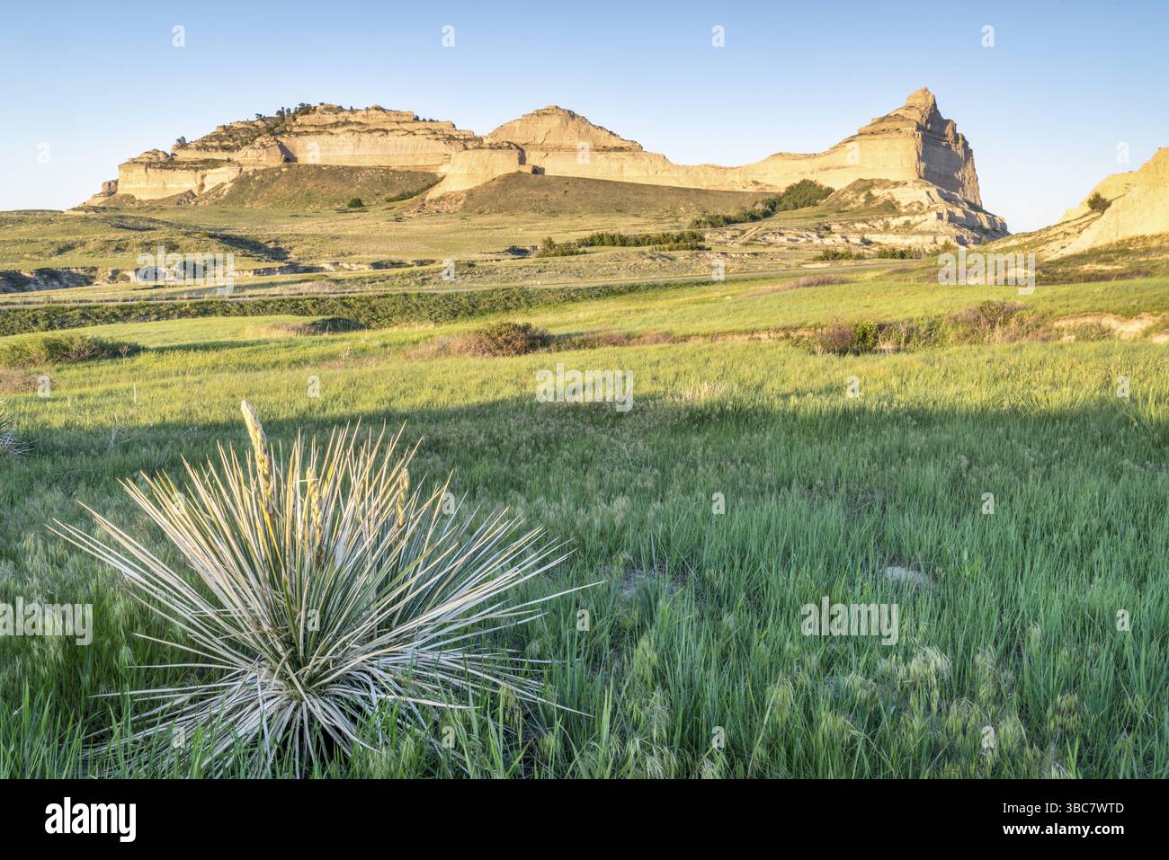 Scotts Bluff National Monument nel Nebraska, scenario primaverile con luce del tramonto e pianta di yucca Foto Stock