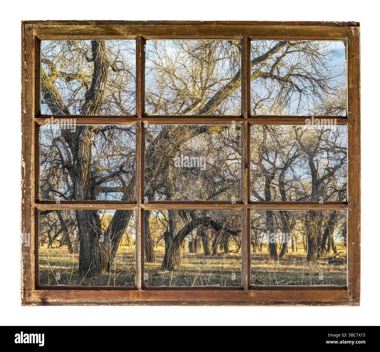 Foresta ripariale sulla riva del fiume South Platte, vista attraverso vintage, grunge, finestre con vetri sporchi Foto Stock