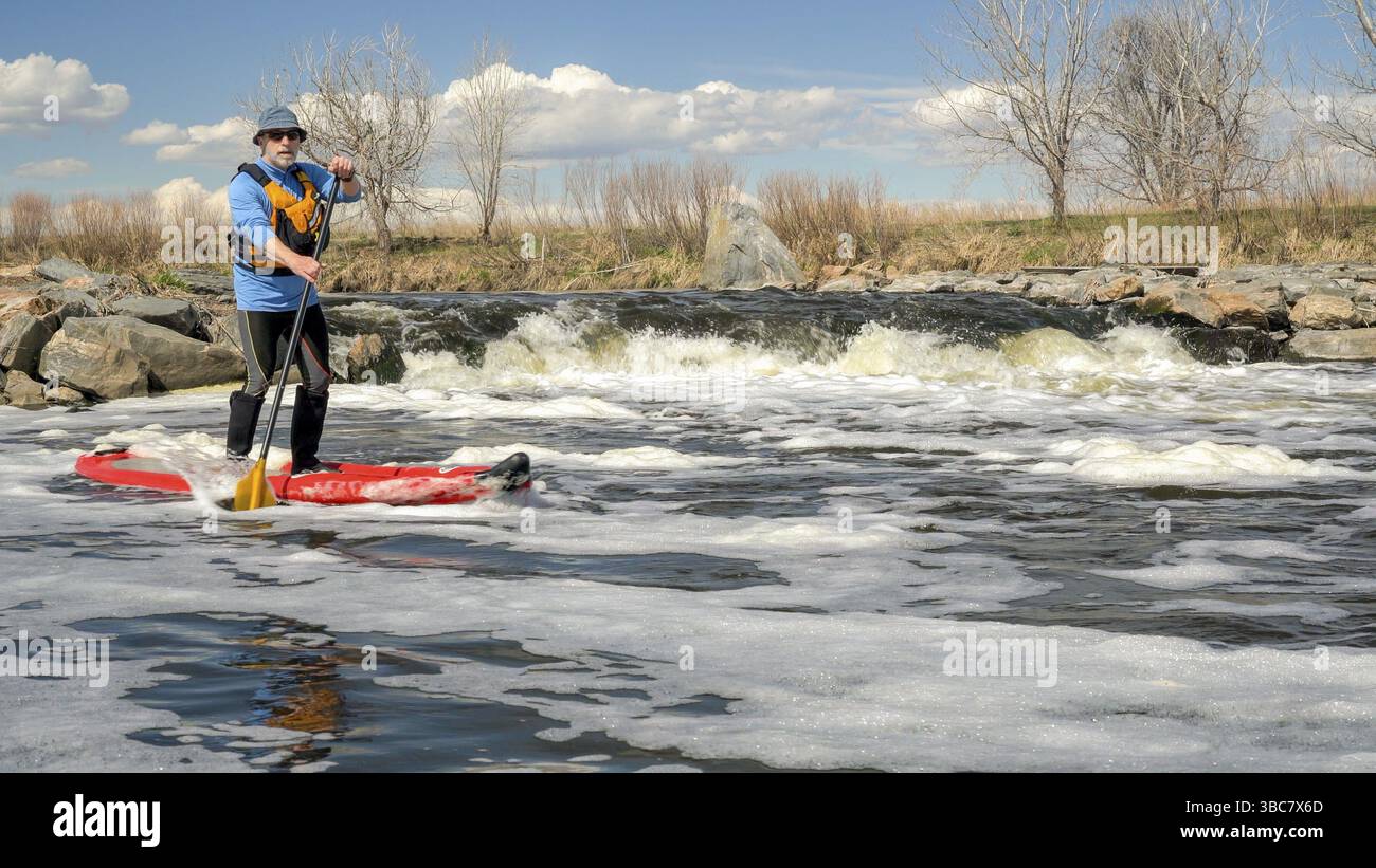Senior è paddler paddling gonfiabile di stand up paddleboard su un fiume turbolento al di sotto di un grado di struttura di controllo - South Platte River nel nord del colore Foto Stock