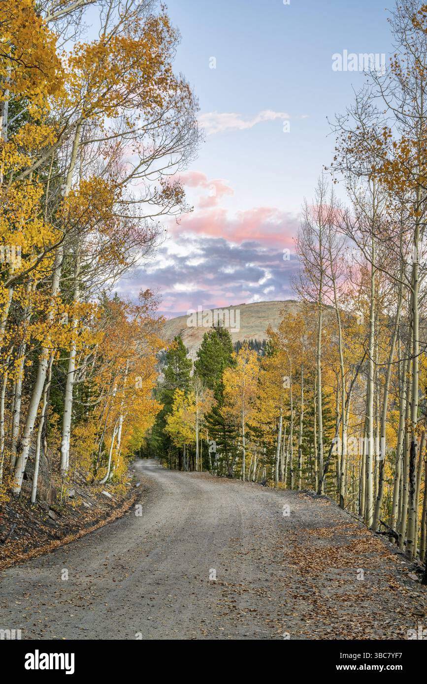 Strada di campagna in Colorado con alberi di pioppo in colori autunnali - Frying Pan Road vicino a Basalt Foto Stock