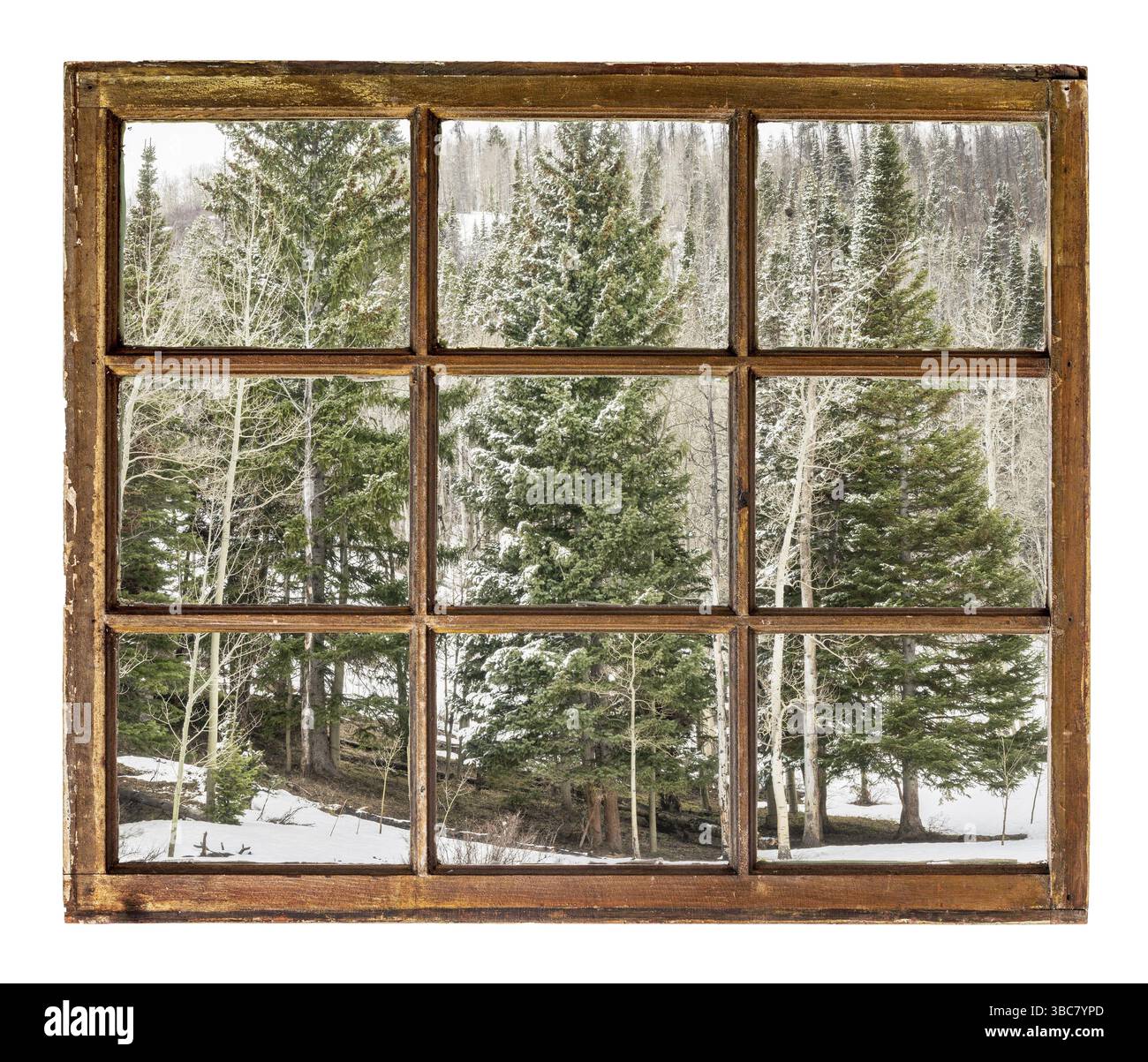 Abete rosso e pioppo in inverno come si vede attraverso vintage, grunge, finestra con vetri sporchi - viaggio o vacanza concetto Foto Stock