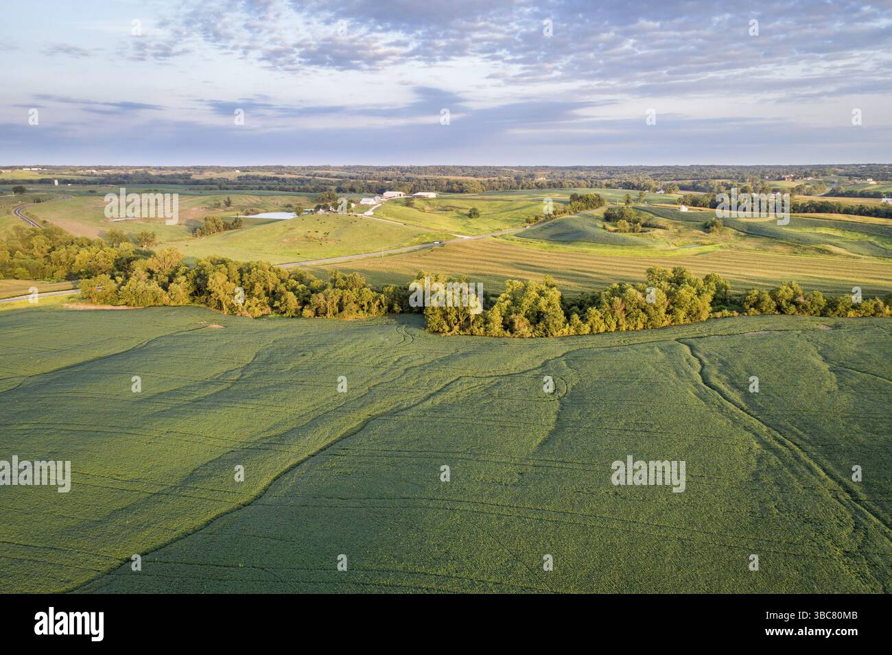 Vista aerea dei verdi campi di soia e dei prati in una valle del fiume Missouri, vicino a Glasgow, Missouri, fine estate Foto Stock