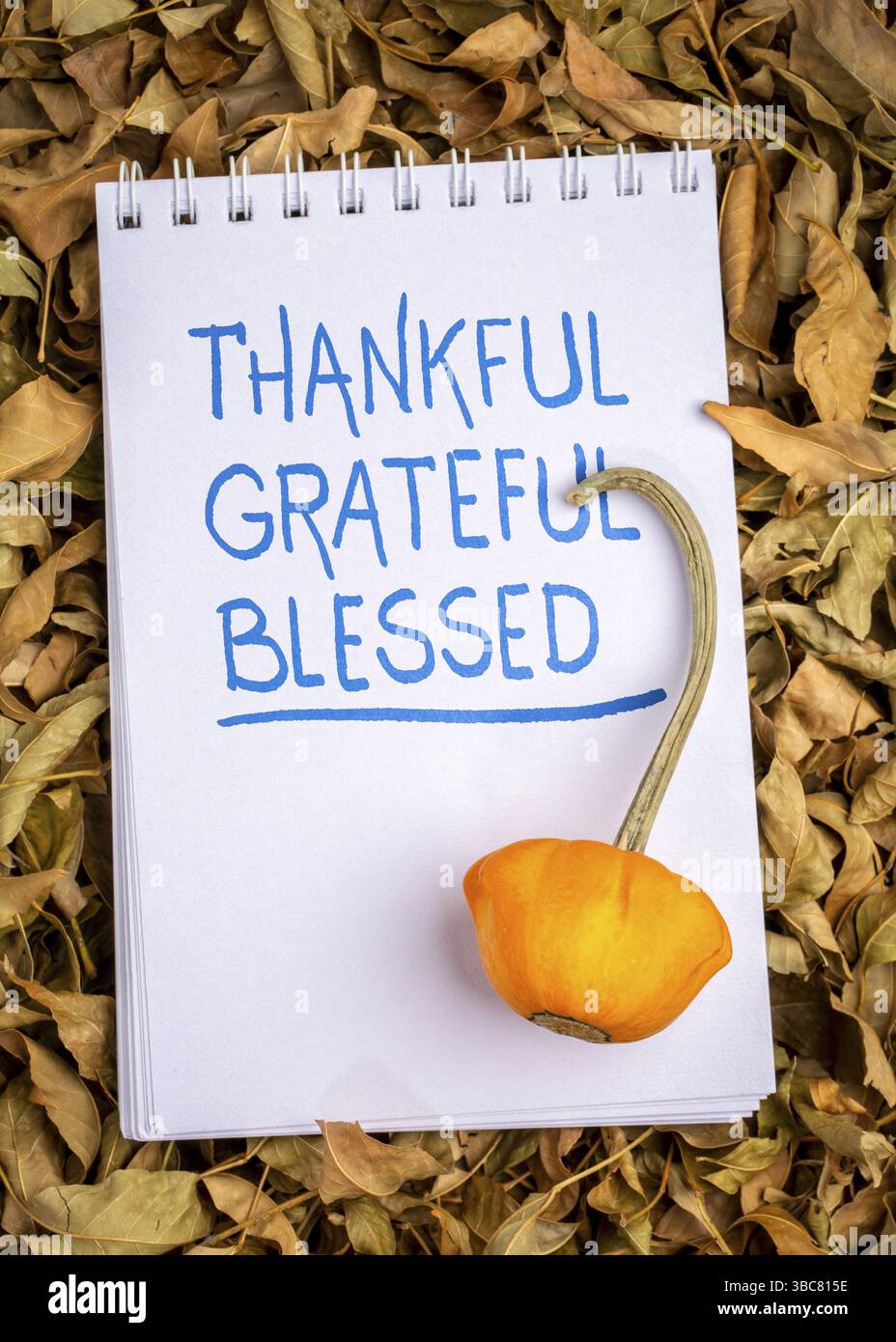 Parole spirituali riconoscenti, riconoscenti e benedette - scrittura a mano in un bozzetto d'arte con gourd oranmentale contro foglie secche Foto Stock