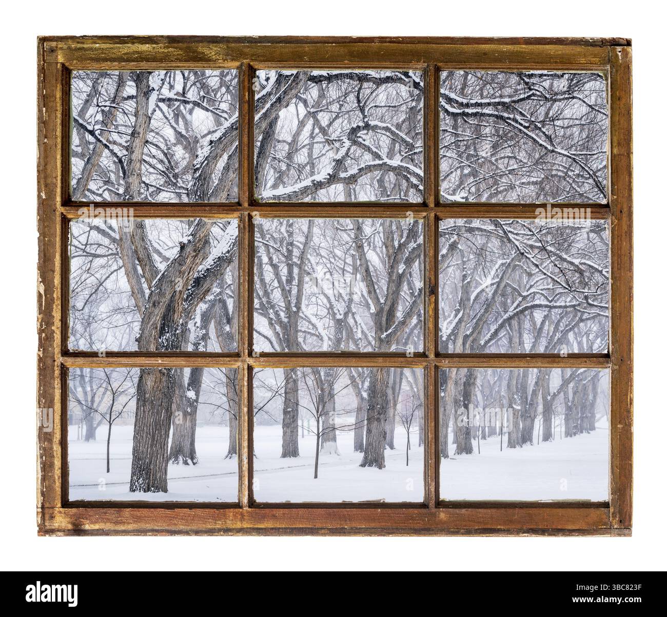 Vicolo di vecchi alberi di olmo in una bufera di neve, visto attraverso vintage, grunge, finestra con vetri sporchi Foto Stock