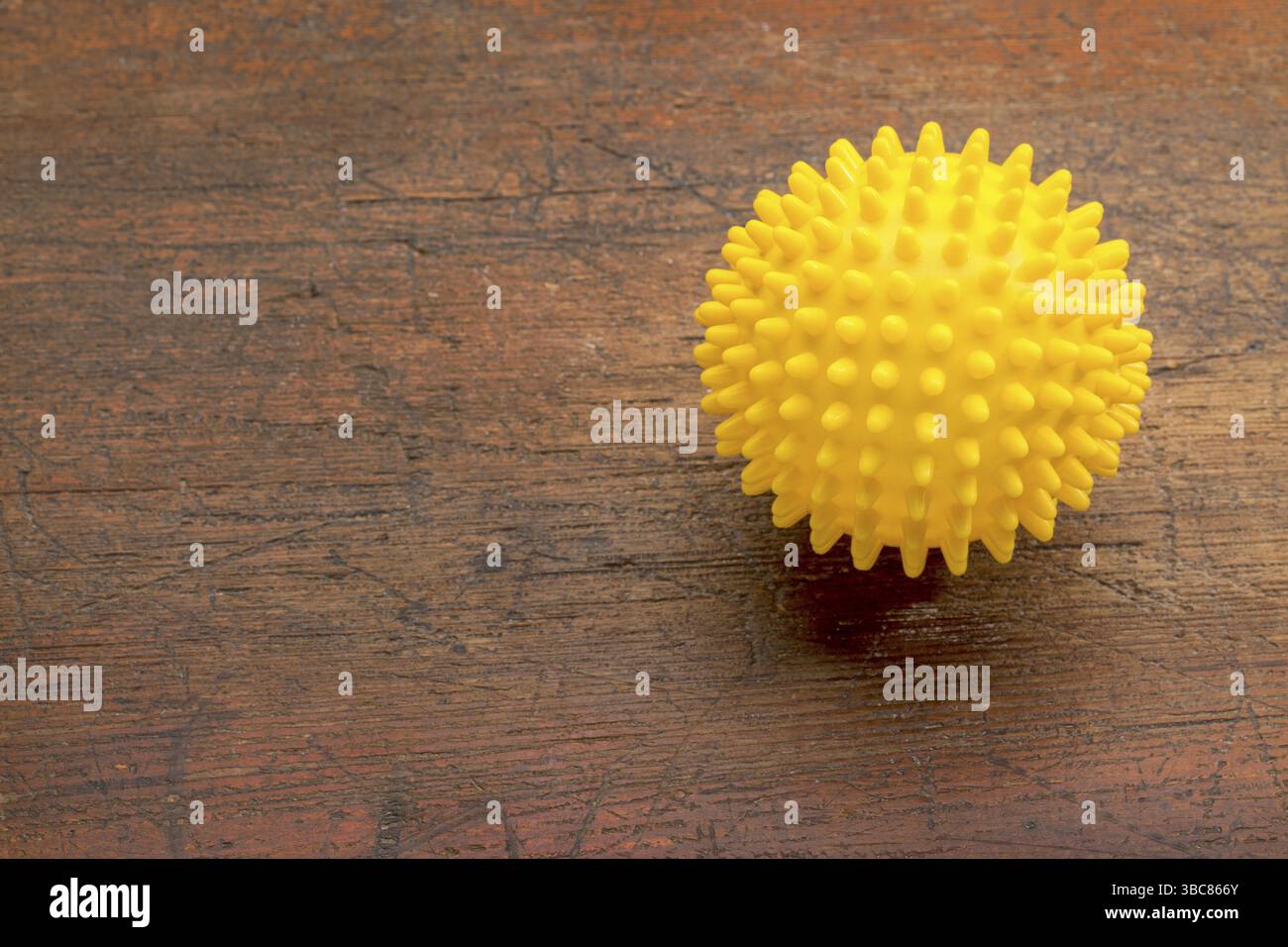 Rullo a sfera in gomma per auto-massaggio, riflessologia e rilascio miofasciale Foto Stock