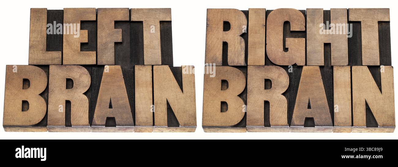 Cervello sinistro e cervello destro - concetto psicologico - testo isolato in blocchi di stampa in legno di tipo letterpress vintage Foto Stock
