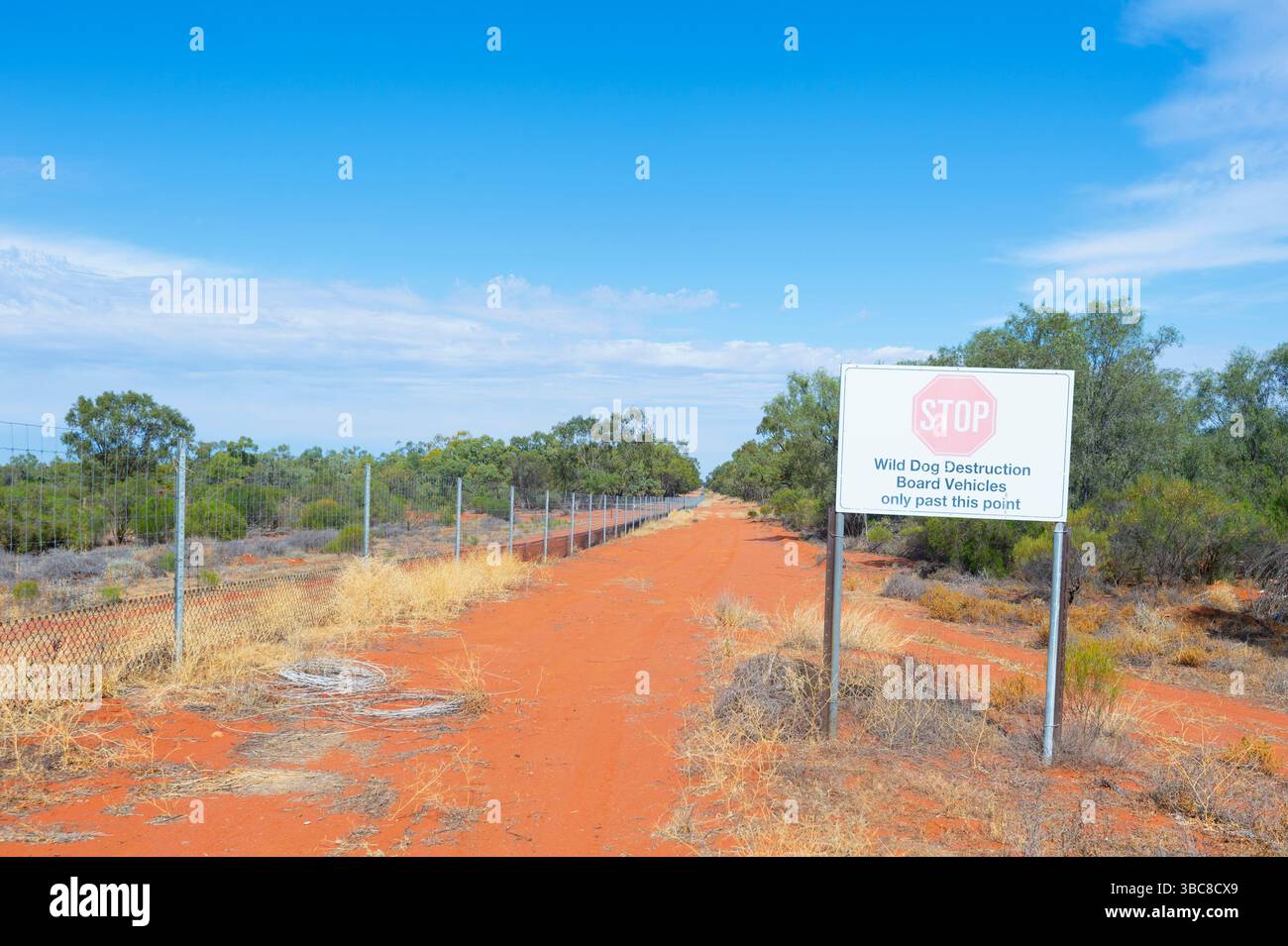 Vista della barriera dei cani selvatici a Hungerford, South West Queensland, QLD, Australia Foto Stock