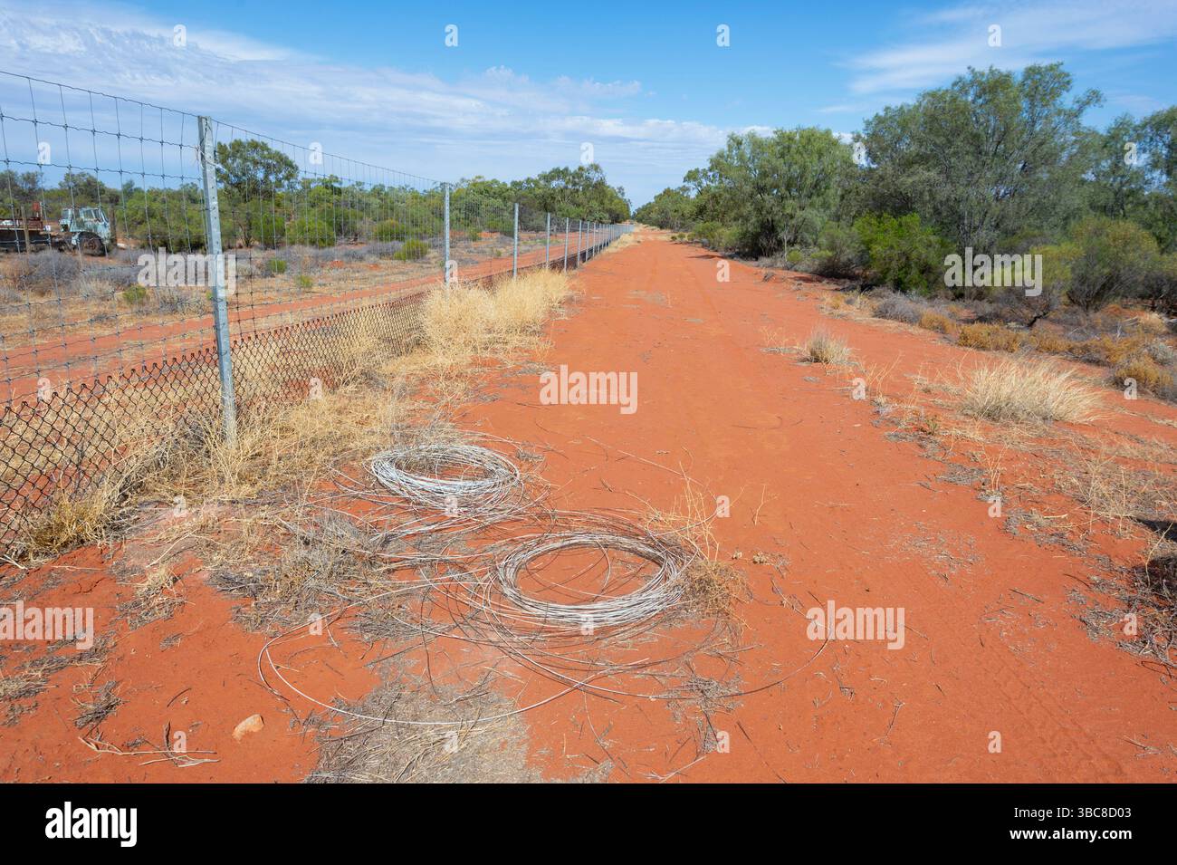 Vista della barriera dei cani selvatici a Hungerford, South West Queensland, QLD, Australia Foto Stock