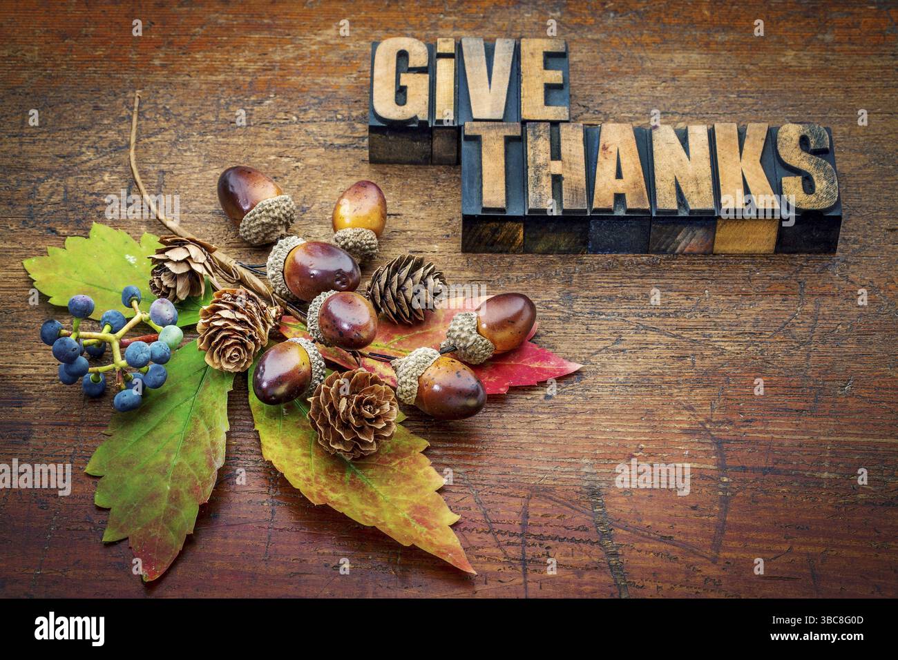 Give Thanks - Thanksgiving Concept - testo in blocchi di stampa in legno tipografico con decorazione autunnale a cono, ghianda, foglia e frutti di bosco Foto Stock