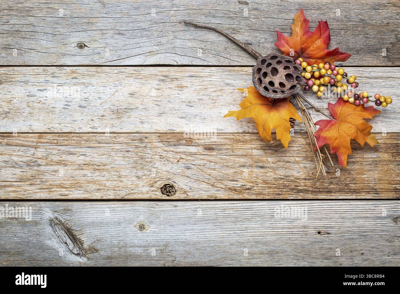 Sfondo grunge in legno fienile con colorate decorazioni autunnali Foto Stock