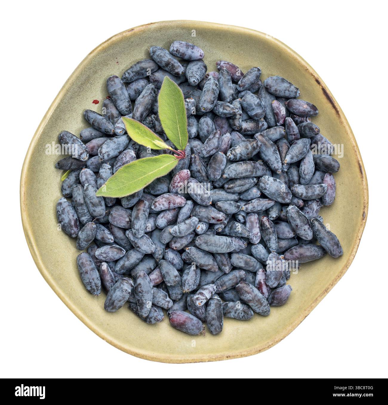 Ciotola isolata di bacche di caprifoglio appena raccolta da un giardino con le impronte di un giardiniere Foto Stock