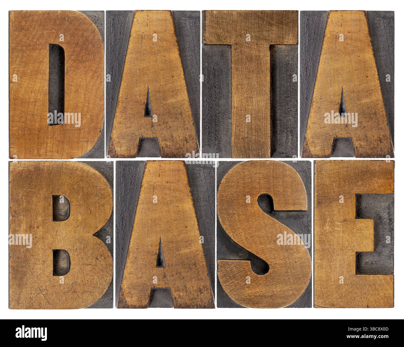 Database - parola isolata astratta in tipo legno tipografico Foto Stock