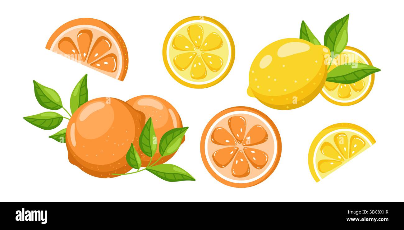 Illustrazione vettoriale piatta in stile cartoni animati di arance e limoni interi, tagliati a metà e tagliati a fette, isolati su sfondo bianco. Agrumi luminosi in un gioco Illustrazione Vettoriale