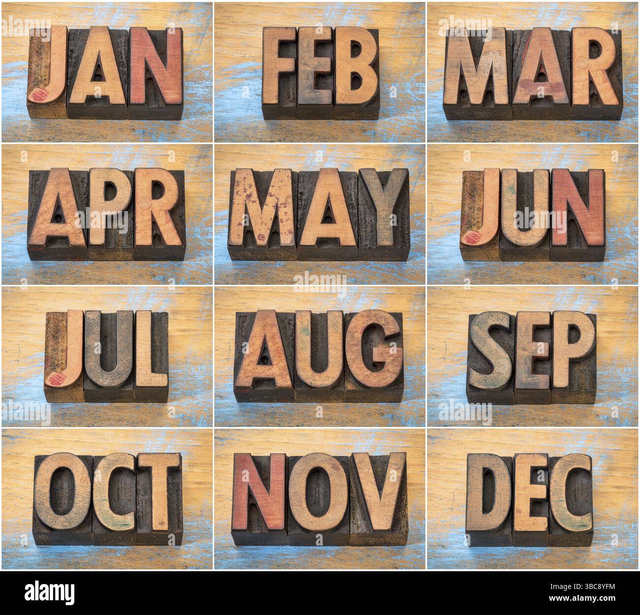 Collezione di abbreviazioni di 12 mesi in blocchi di stampa in legno con stampa letterpress vintage su fondo in legno grunge Foto Stock