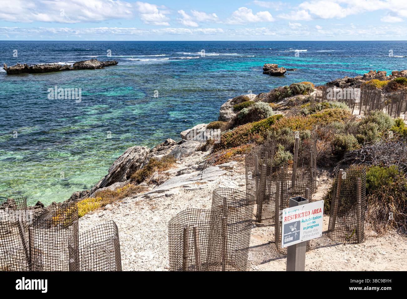 Un limitato è quello di rigenerare la macchia che cresce sulla scogliera che si affaccia sul mare a Jeannies Lookout su Rottnest Island, (Wadjemup) Western Australia, WA Foto Stock