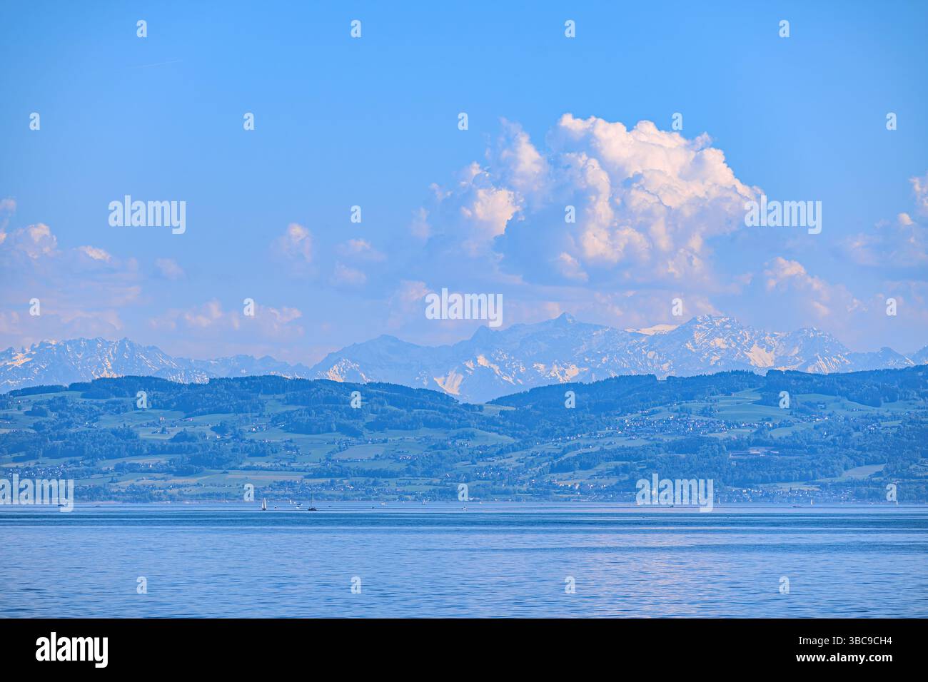 Svizzera : vista alpina dal Lago di Costanza Foto Stock